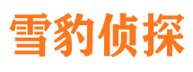 北仑找人公司